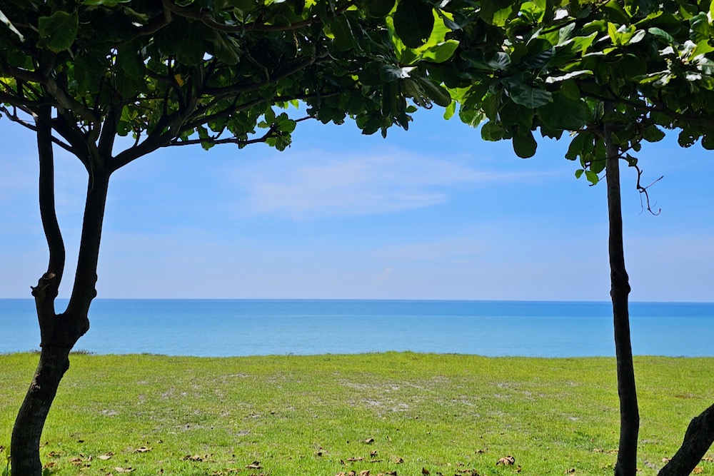 台東真係得天獨厚，有最藍嘅天同海，仲有肥沃土地出產靚米&生果