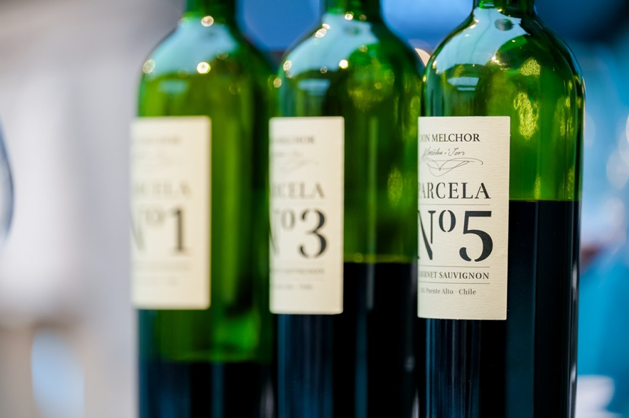 品鑒干露葡萄酒