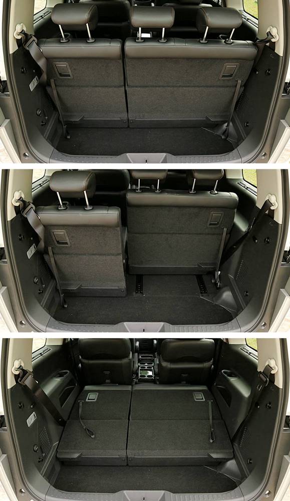 慳得豪爽 Nissan Elgrand 250 Highway Star AVM Plus