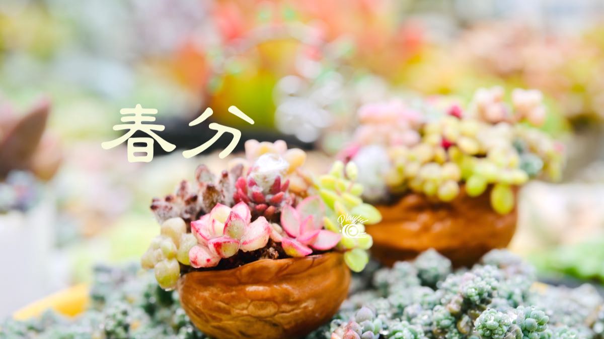 春分。節氣