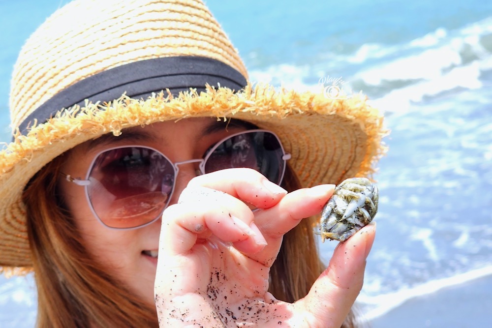 燈燈燈鄧！呢個就係浪花蟹啦！