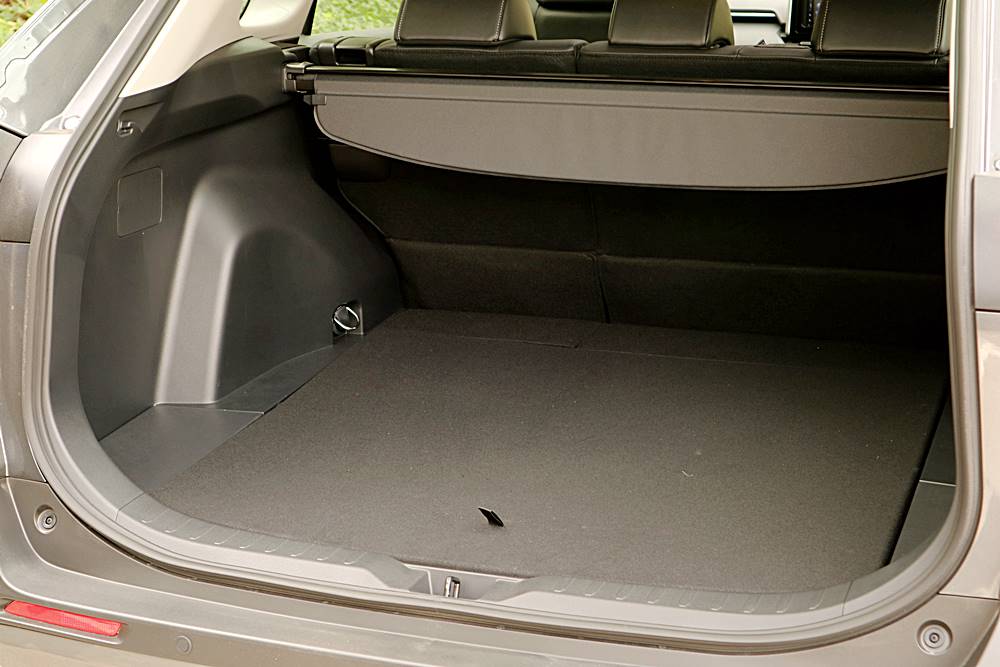 穩穩陣陣 Toyota RAV4 Luxury