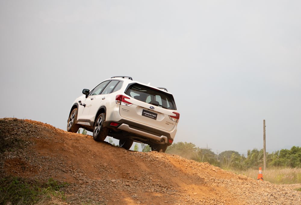 返璞歸真 Subaru Forester