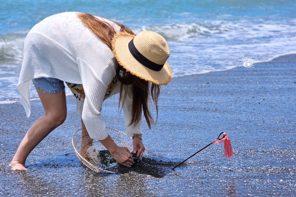 陷阱設好之後15～30分鐘就可以收成。 用廢棄風扇來做筲箕係咪好有創意又環保呢～