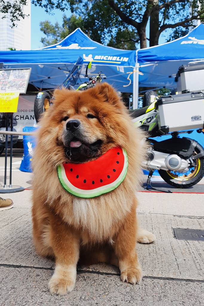 香港電單車節MotorCycle Show 2022