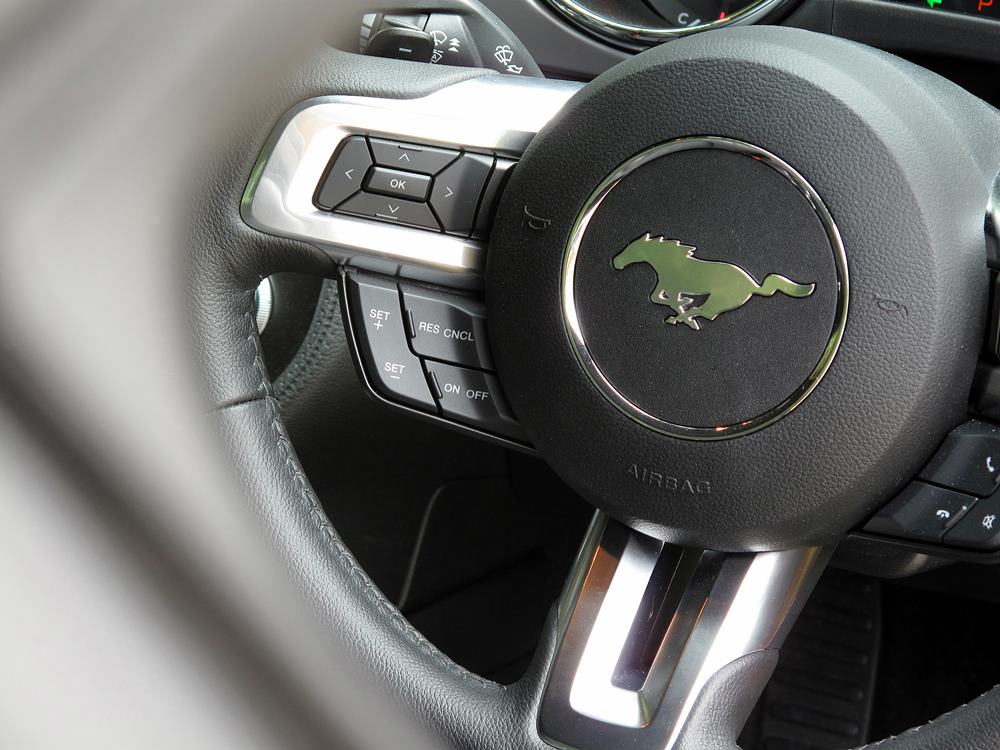 馴良野馬 Ford Mustang 2.3L EcoBoost