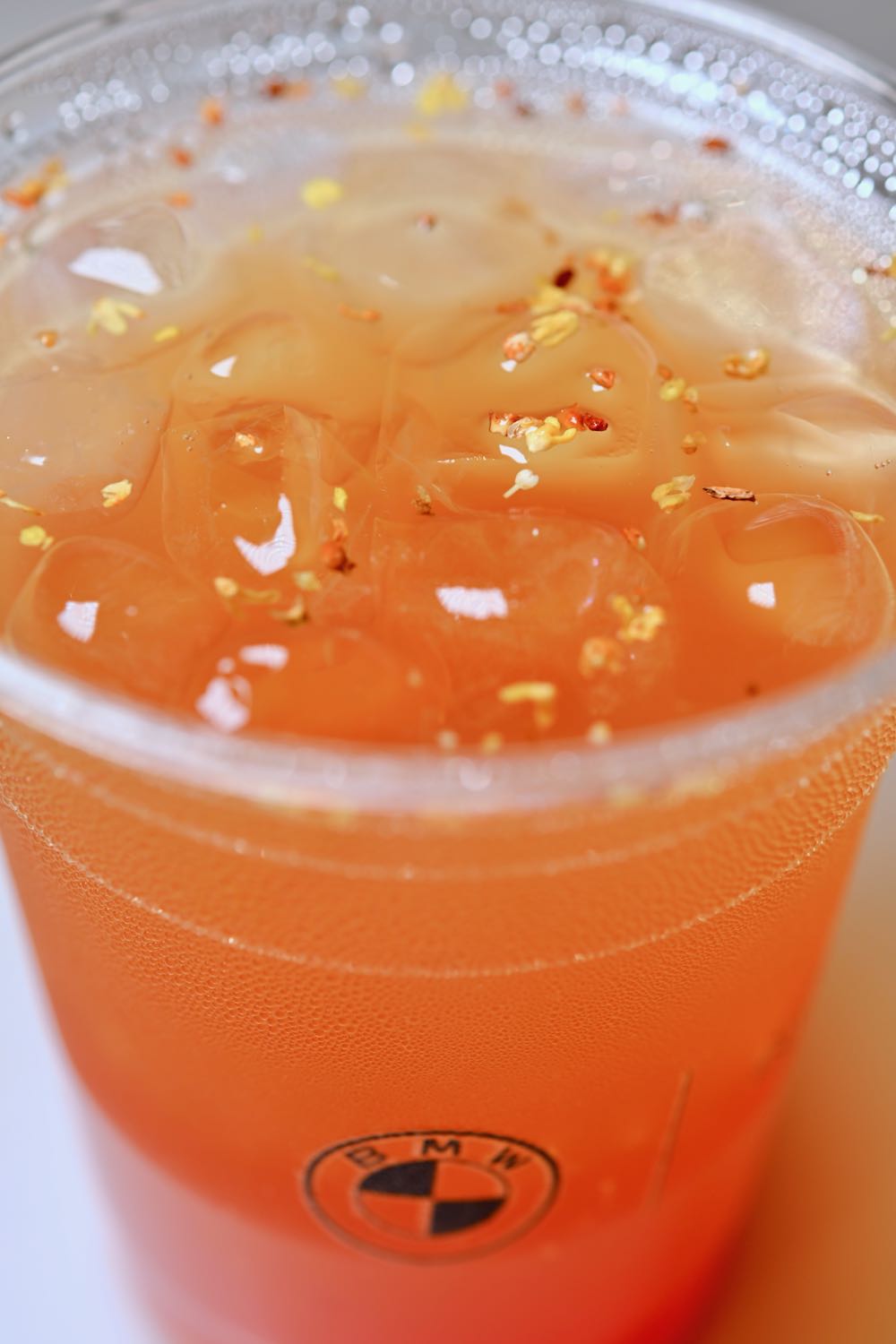 BMW x HAUSTAGE 綠色時尚及生活館